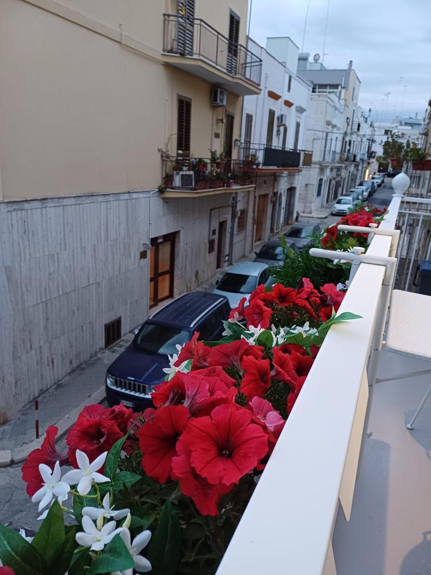 Casa Lina Apartment Mola di Bari Exterior photo